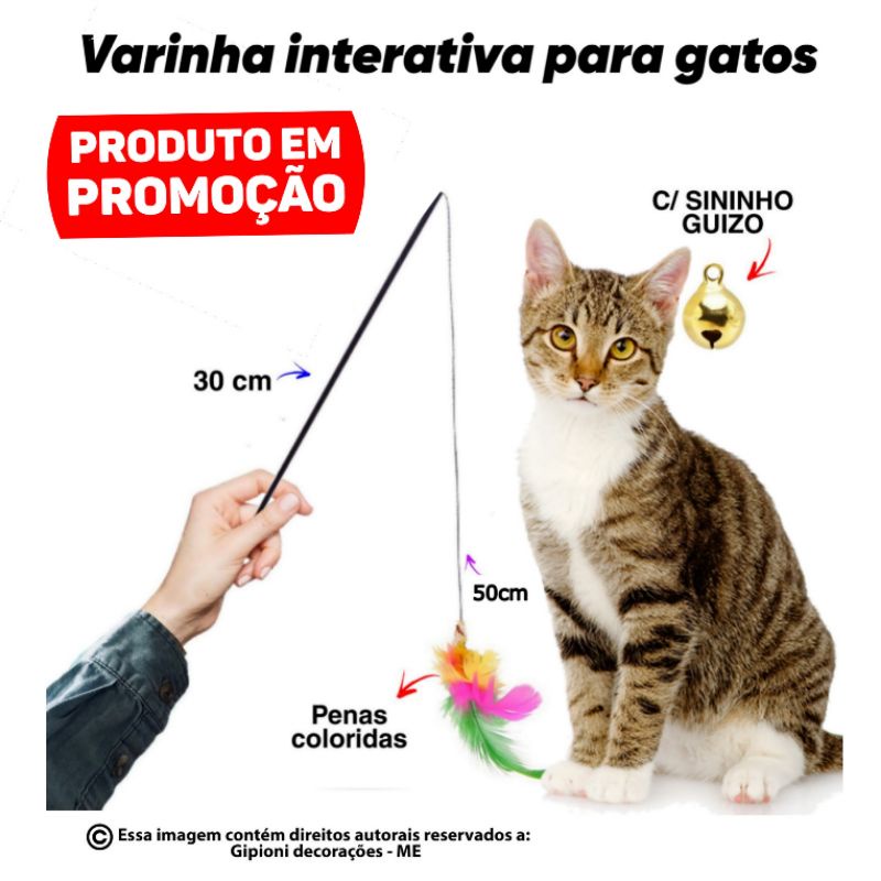 Brinquedo Para Gato Varinha cat fishing 30cm E Com Penas coloridas e Guizo