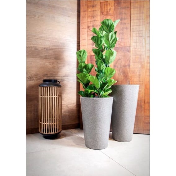 gran planta artificial en Venta en Shopee Brasil 2023