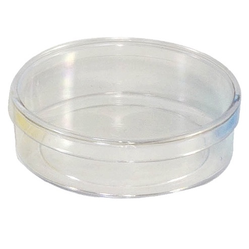 10 latinhas acrílica 5x1,5 NÃO DECORADA transparente ou colorida Latinhas mint to be 24g em Oferta na Shopee