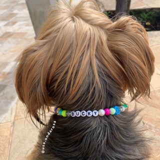 Coleira colar pet miçangas cão gato cachorro personalize como desejar