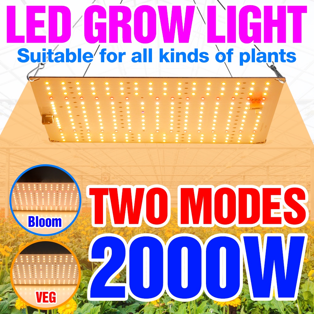 Quantum Board LED Grow Light Full Spectrum Plantas Lâmpada Painel 220V Indoor Cultivo Lampada 110V Phytolampy 1000W 1500W 2000W