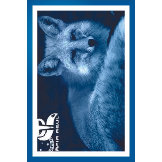Placa Quadro Decorativo Cruzeiro Mafia Azul Zeiro maior de minas de MDF 6mm (Não empena com tempo) 20x28cm Impressão Direta 41