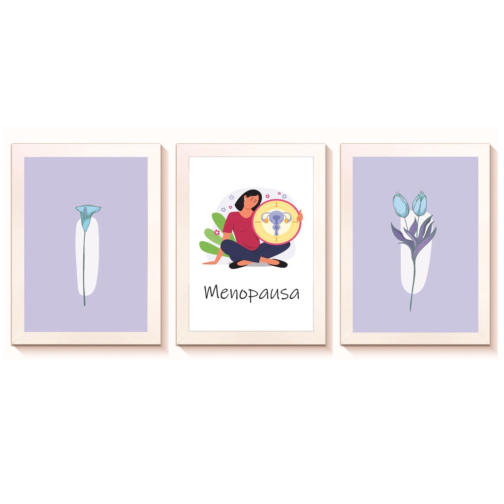 Kit 3 Quadros Decorativos Menopausa Ginecologia Consultório Molduras 20x30cm Madeira Vidro Brancas