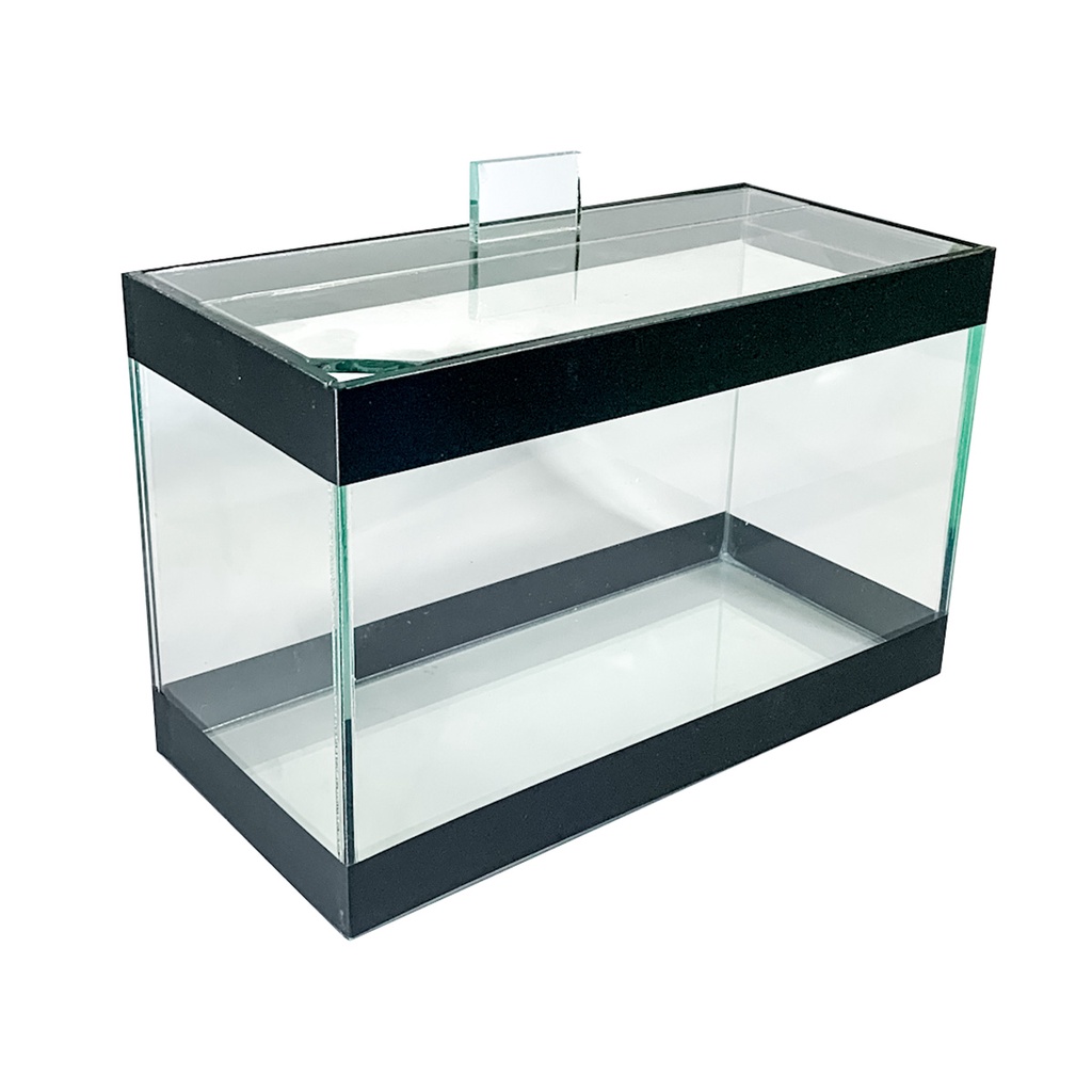 Aquário Beta 4,5 litros Retangular 25x12x16cm Feito para peixe Betta Vidro Resistente