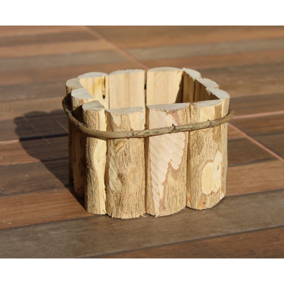 Cachepot 15x15: Guia Completo e Onde Comprar | BuscaProdutos