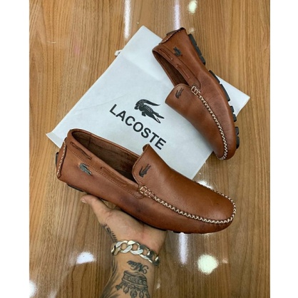 Mocassim lacoste best sale mercado livre