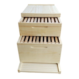 Caixa de abelha apis padrão langstrooth DESMONTADA em Oferta na Shopee