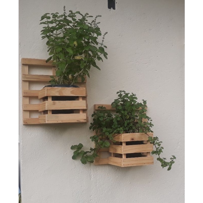 kit 2 suporte pra planta suporte orquídeas parede