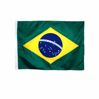 Bandeira Do Brasil Oficial Copa Tecido 30x40cm em Oferta na Shopee
