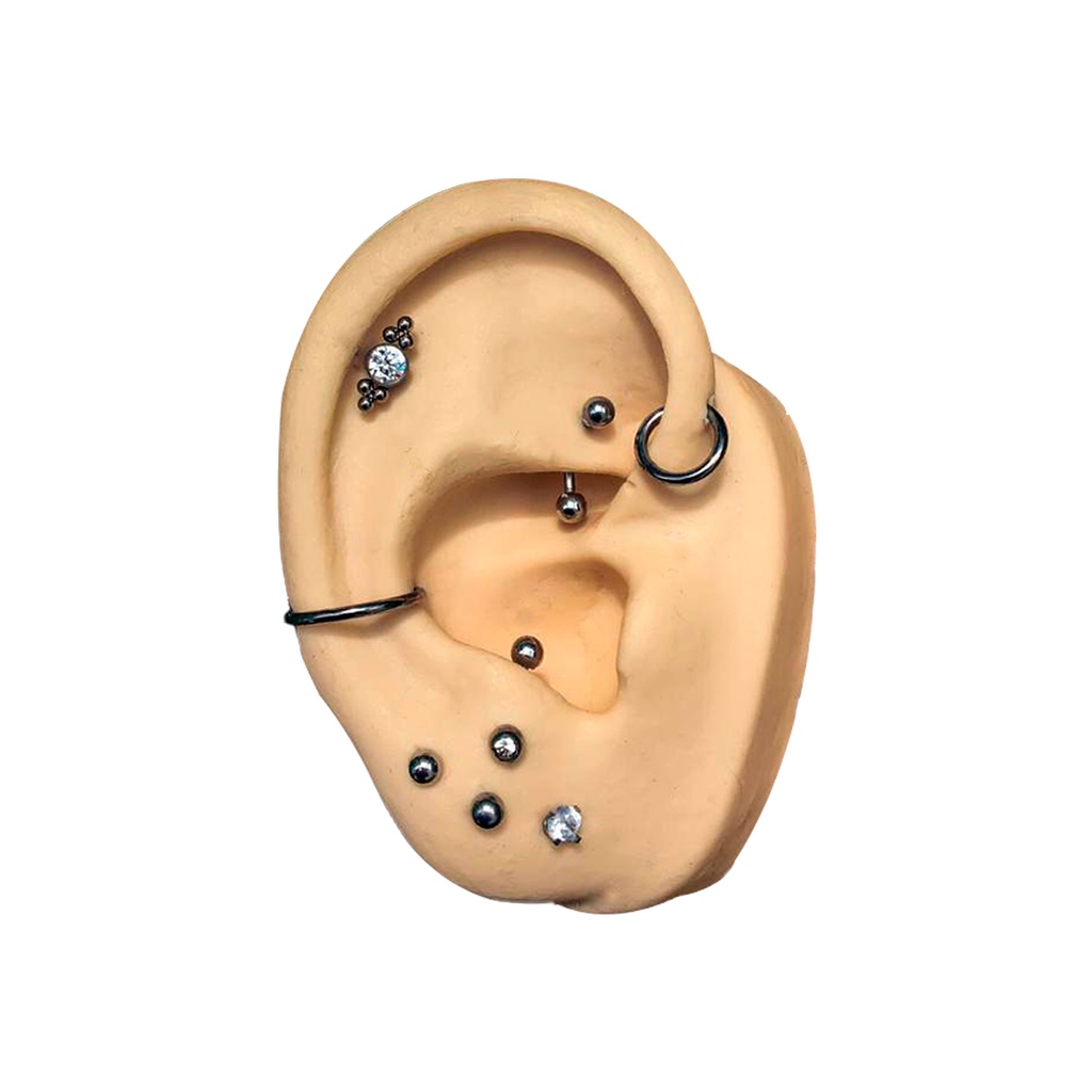 Orelha de Silicone Bege Para Treinamento e Exposição de Joias Brincos Piercings em Oferta na Shopee