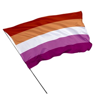 Bandeira Lésbica Orgulho LGBTQIA+ Costura em Overloque em Oferta na Shopee