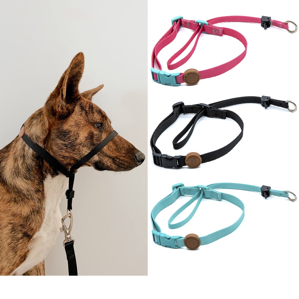Coleira Cabresto para Cachorro Pet Alta Qualidade Marca Toh