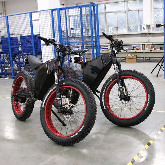 Brand new and original Bezior XF001 Electric Bicycle Ebike 1000W Motor