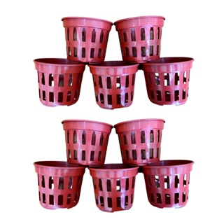 Kit 10 Vasos Para Orquídeas Plástico Marrom Pt 15 Vazado em Oferta na Shopee