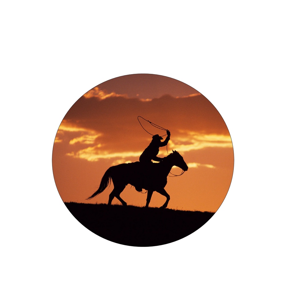 Capa De Estepe Ecosport Crossfox Aircross Sombra Cowboy