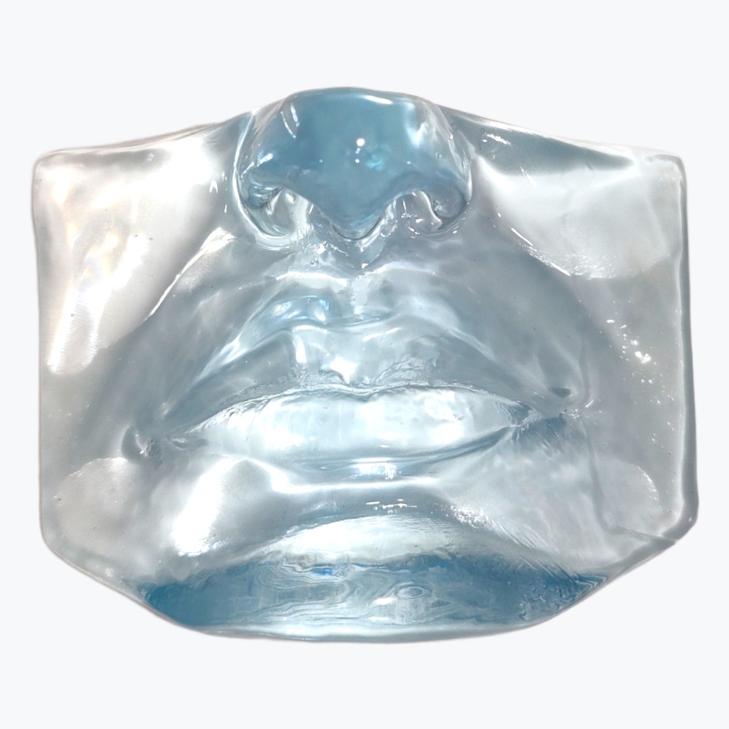 Boca para Treinamento Preenchimento Hramonização Labial com Nariz Silicone Transparente em Oferta na Shopee