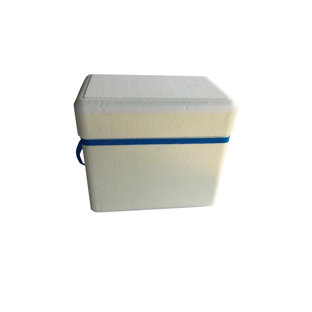 Caixa Térmica Isopor 28 Litros Gelo Cerveja Refrigerante em Oferta na Shopee