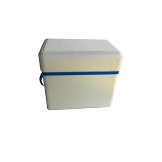 Caixa Térmica Isopor 28 Litros Gelo Cerveja Refrigerante em Oferta na Shopee