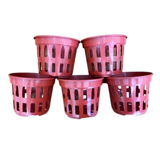 Kit 5 Vasos Para Orquídeas Plástico Marrom Pt 15 Vazado em Oferta na Shopee