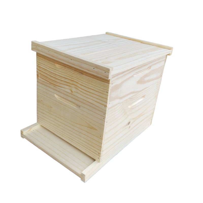 Caixa de Abelha Langstroth de pinus com quadros de eucalipto Montada + 2 Melgueiras P/ Apis | Madervalia