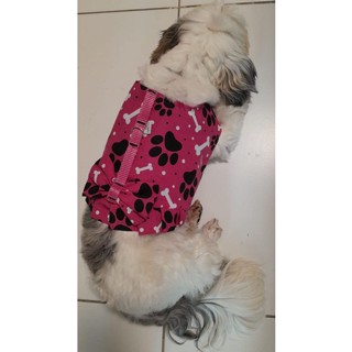 Coleira peitoral com Guia para cães e gato pet fêmea ou macho