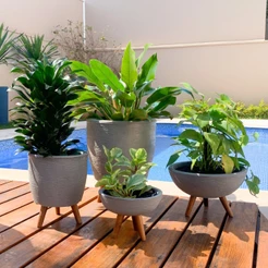 Kit 4 Vasos Decoração Com Tripé De Madeira Para Plantas E Flores