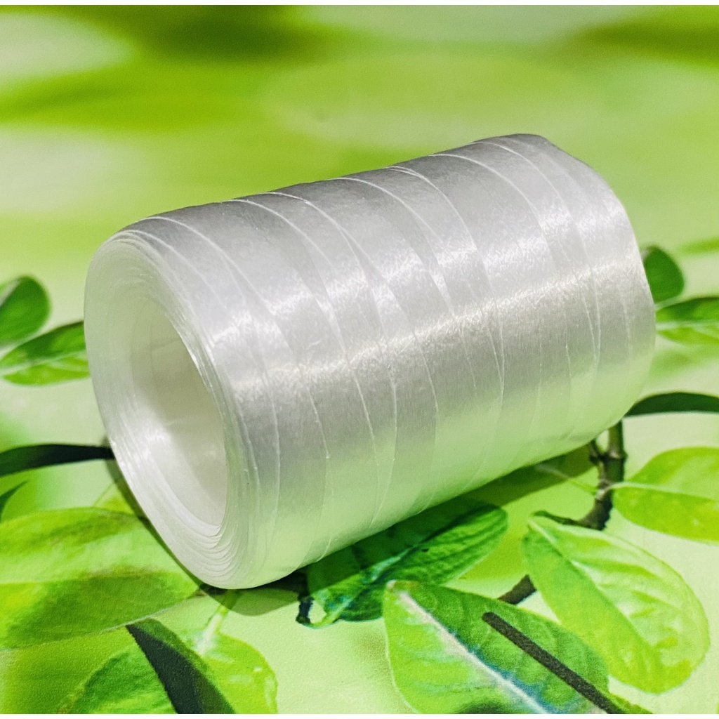 10 Rolos Fitilho BRANCO  5 mm 10 x 50 Metros (500 metros)//