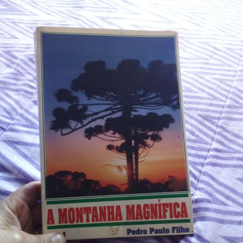 Livro A Montanha Magnífica Pedro Paulo Filho
