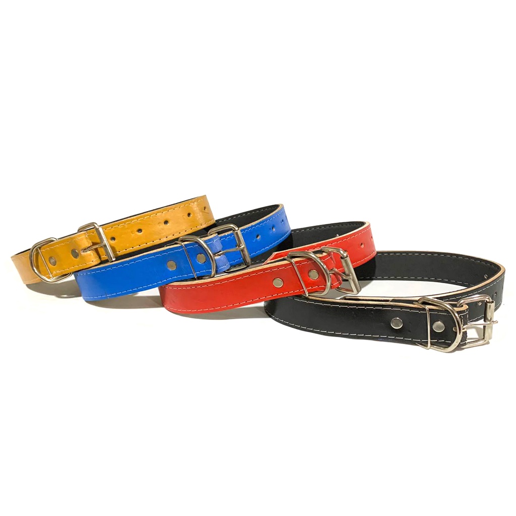 Coleira Cachorro Guia Pitbull Golden — R$ 18,90 em Shopee