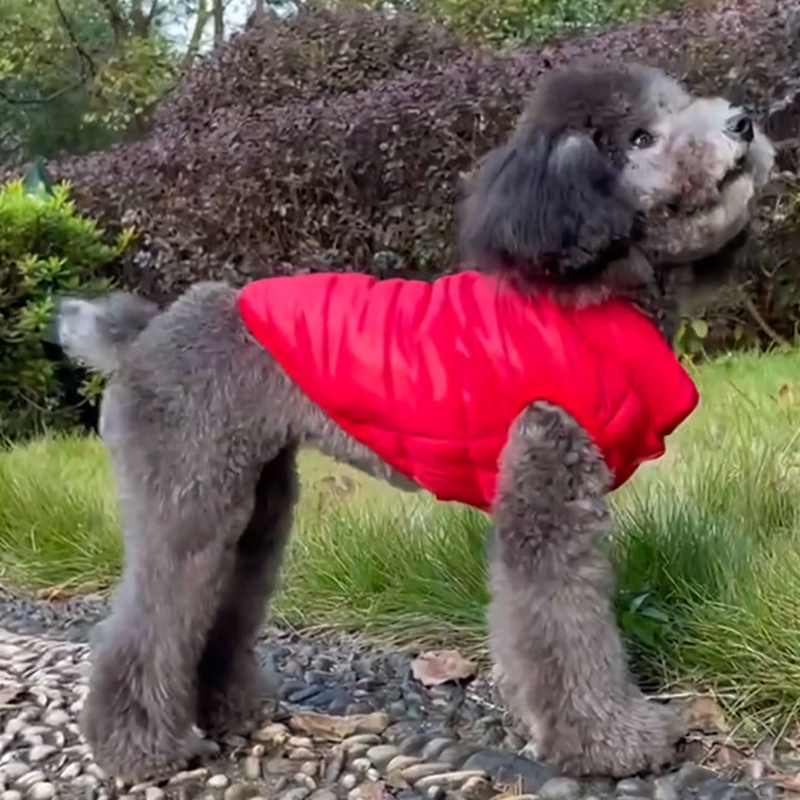 Roupa De Cachorro Colete Para Cães Pequenos Jaqueta De Inverno Casaco E Gatos Roupas De Estimação — imagem 2 de 2
