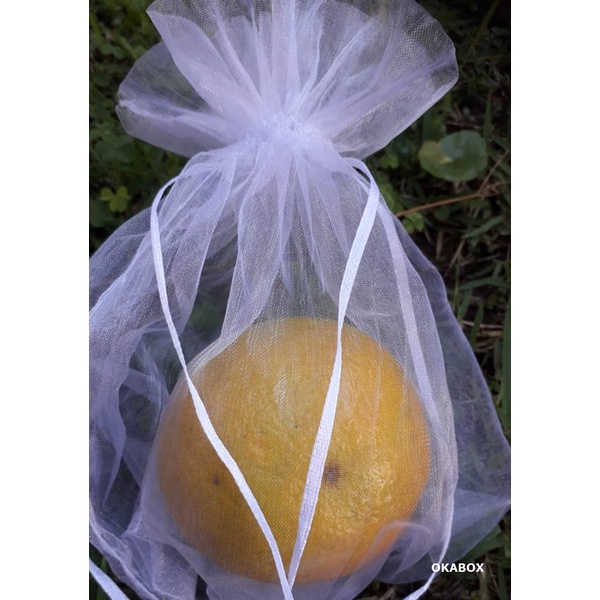 100 Sacos Para Proteção Frutas No Pe Lavável  10 X 15 cm