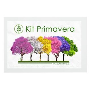 Kit Primavera 60 Sementes Ipê e Jacarandá | Amarelo Azul Branco Rosa Roxo Verde | Mundo Das Sementes