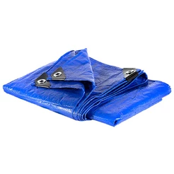 Lona 100 Micras Leve 3x5 Metros Azul APM7020006 REXON