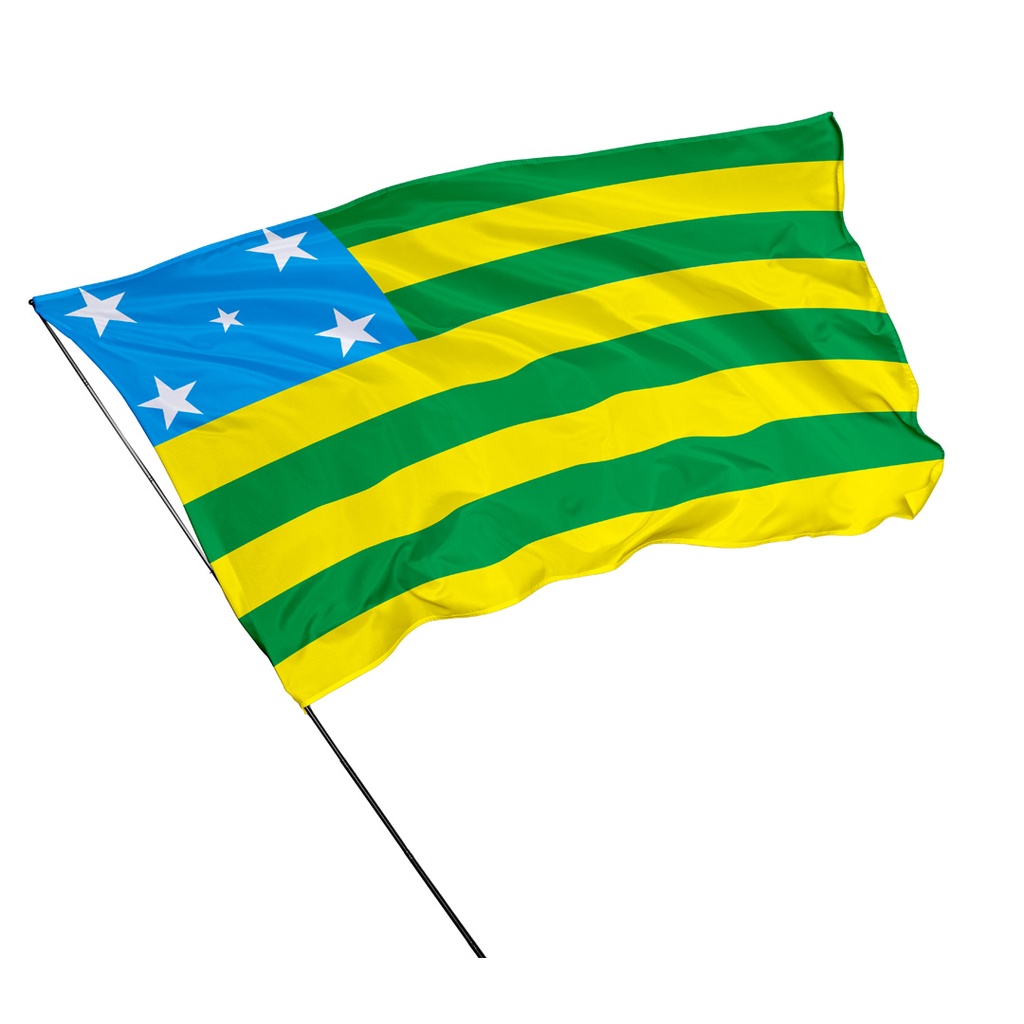 Bandeira Do Estado Do Goiás Costura em Overloque
