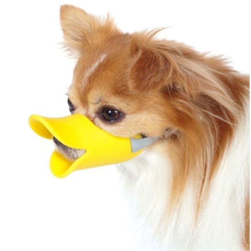 FOCINHEIRA BICO DE PATO COR AMARELA