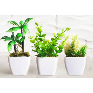 Kit 3 Vasos de Plástico Cachepo Quadrado Branco Para Suculenta Flores Artificiais Decorativo Enfeite Artesanato Casa Plantas