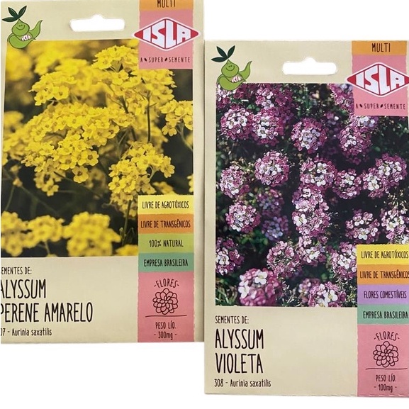 Kit com 600 sementes de Alyssum Perene Amarelo e Alyssum Violeta Isla Flores  Jardins | Shopee Brasil