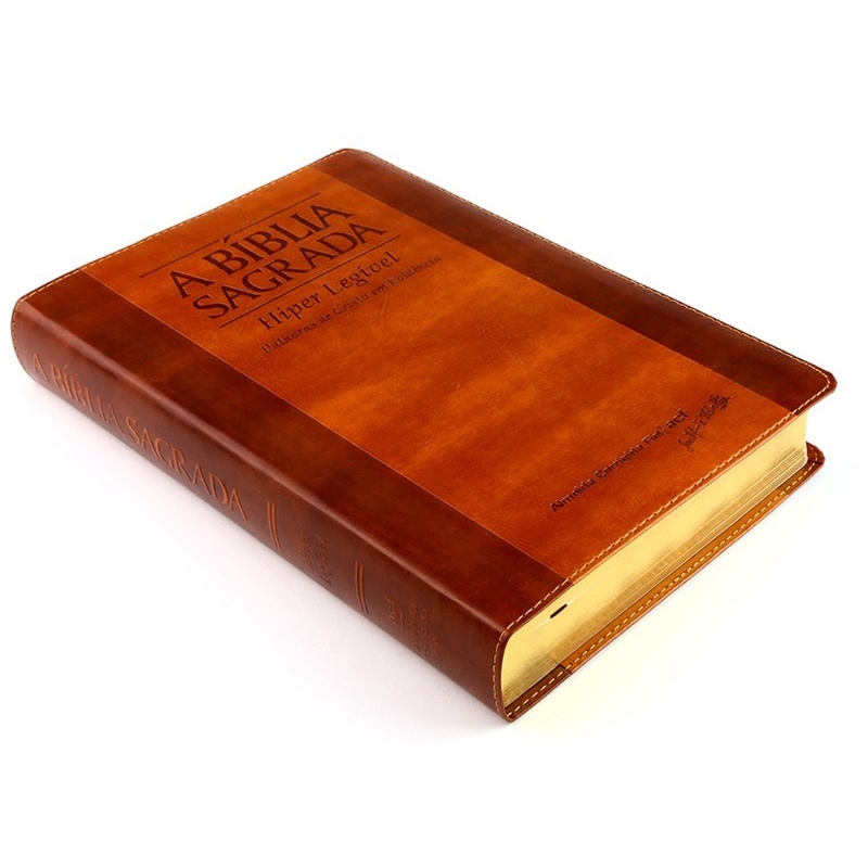Bíblia ACF | Letra Hiper Legível | Palavras de Cristo em Evidencia | Referências e Mapas | Havana em Oferta na Shopee