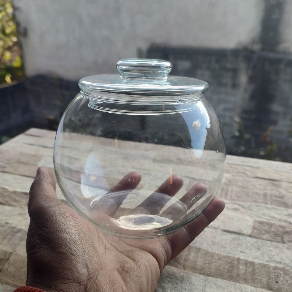 Vaso Aquario Para Terrario Caçula Com Tampa - Vidro Redondo em Oferta na Shopee