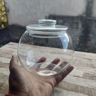 Vaso Aquario Para Terrario Caçula Com Tampa - Vidro Redondo em Oferta na Shopee