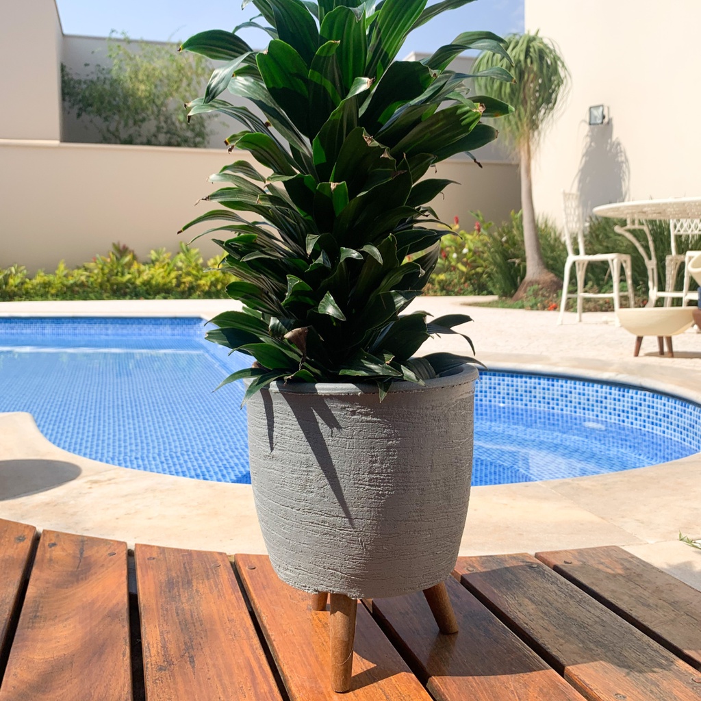 Vaso p/ Flores 20cm com tripé de Madeira Plantas Decorativas