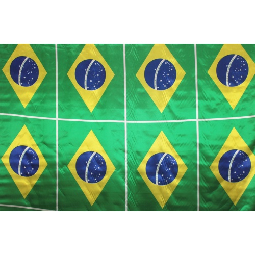 Bandeira do Brasil de Cetim Pequena 16 unidades cod. 366 em Oferta na Shopee