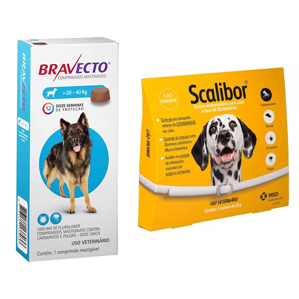 1 Bravecto Antipulgas Cães 20 A 40kg + 1Coleira Scalibor 65cm