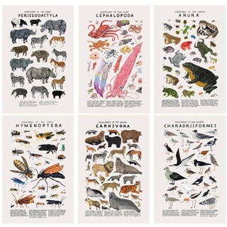 Quadro Retro Com Estampa De Animais De Ciências Educação Da Classificação Pintura De Lona Imagem Para Sala De Estar em Oferta na Shopee