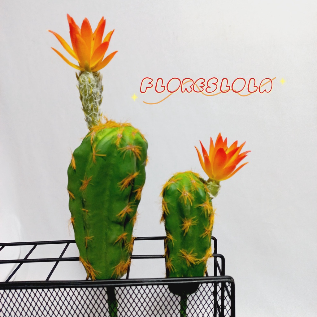 Suculenta Cactos Artificial sortida, 1 Suculenta Decoração  P/ Decoração Arranjos, Decorar Festas