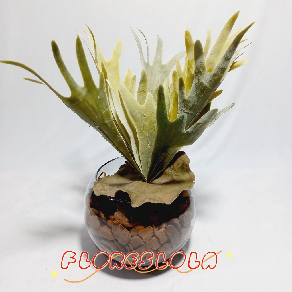 Suculenta Chifre de Veado Artificial sortida, 1 Suculenta avulsa / solta artificial , suculenta colorida, Suculenta Artificial Real Decoração  P/ Decoração Casamento, Arranjos, Decorar Festas e casa, banheiro, jardim, varanda
