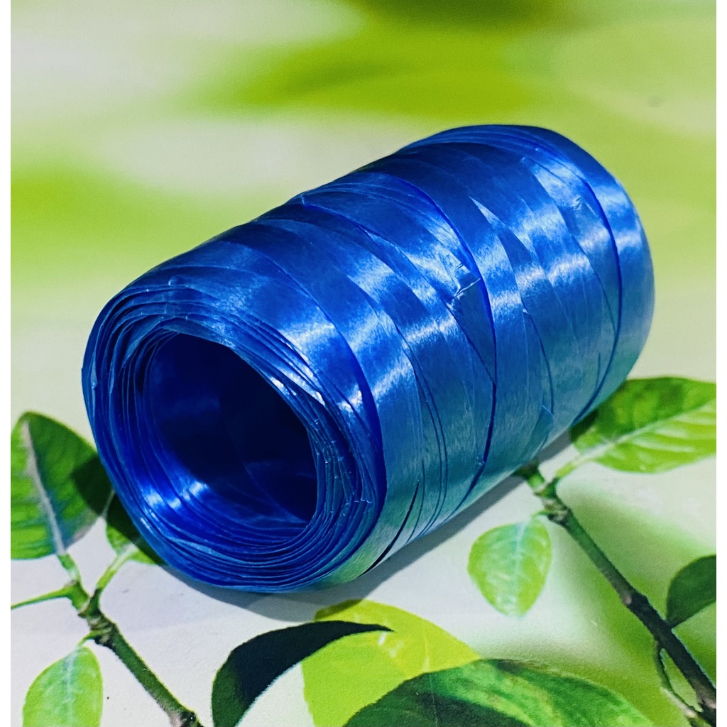 10 Rolos Fitilho AZUL ROYAL  5 mm 10 x 50 Metros (500 metros)// em Oferta na Shopee