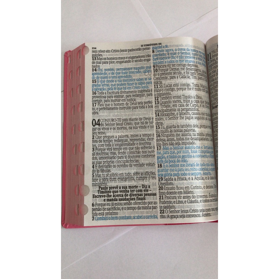 Bíblia Sagrada LETRA Jumbo-Palavras de Jesus em vermellho-Com harpa- Revista e Corrigida Capa Flor Dourada · foto 2