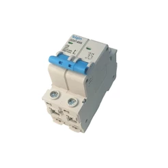 Disjuntor Bipolar 2 Polos Duplo Térmico e Magnético Tipo D Residencial fotovoltaico 110 A 220V