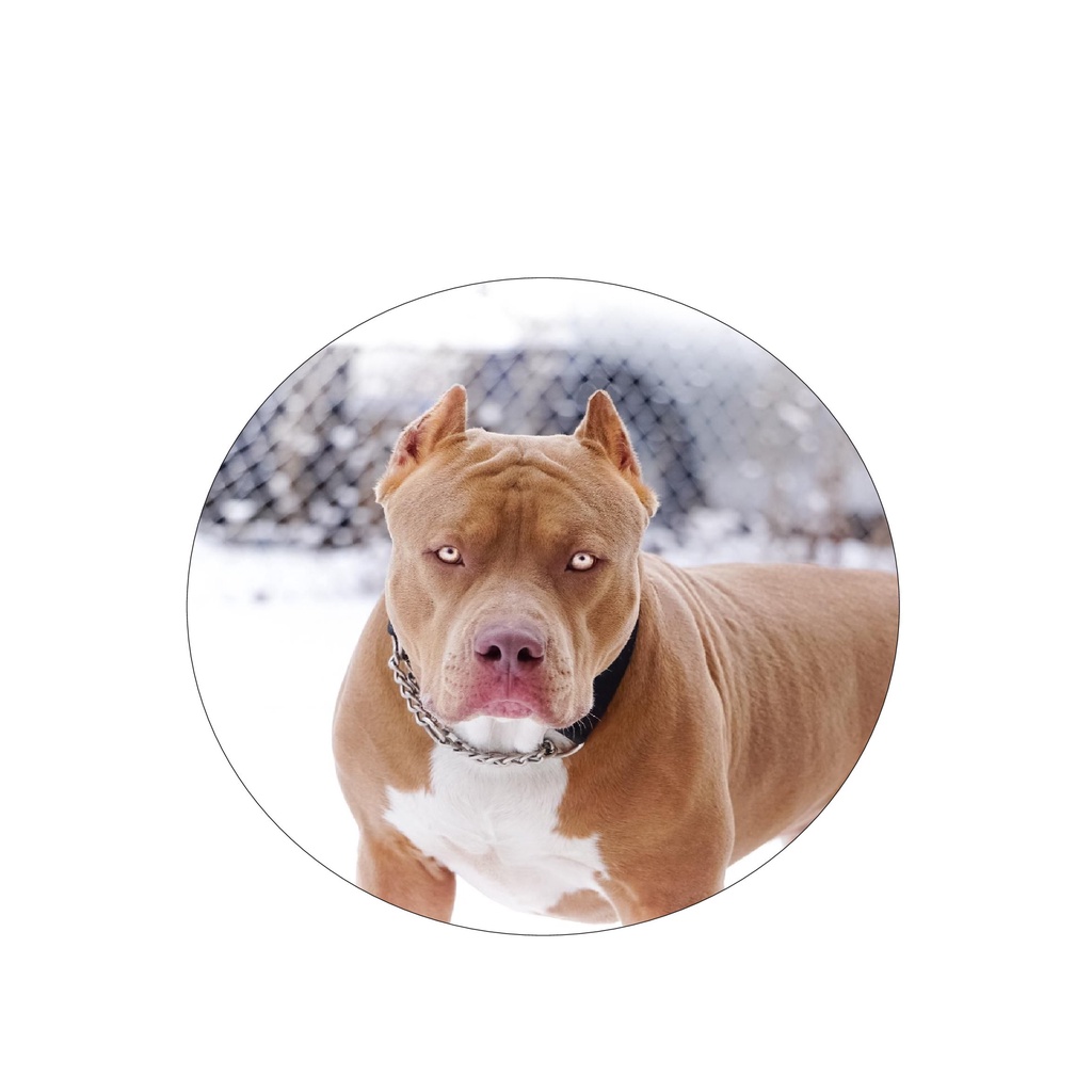 Capa De Estepe Ecosport Aircross Pit Bull Terrier Americano